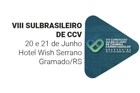 VIII SULBRASILEIRO DE CCV